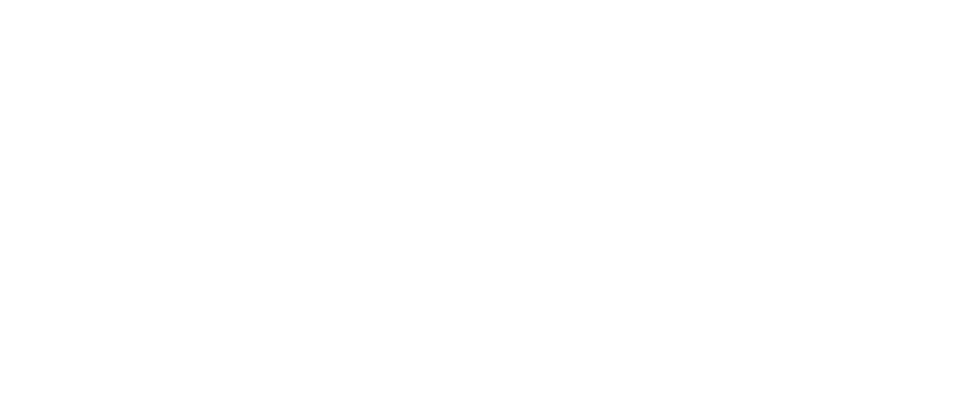White logo - no background